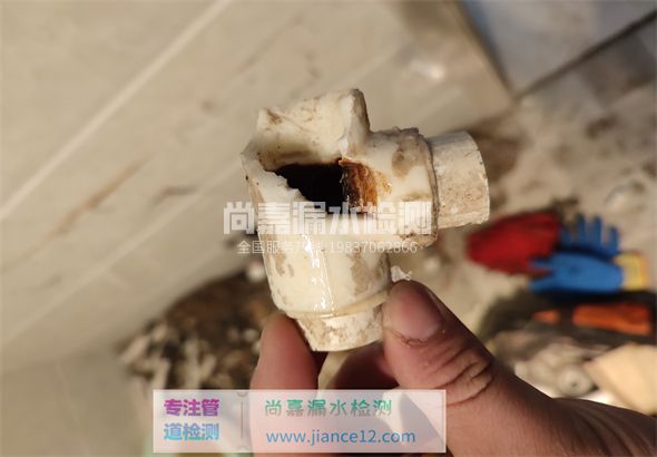 神木引起漏水的原因有哪些？